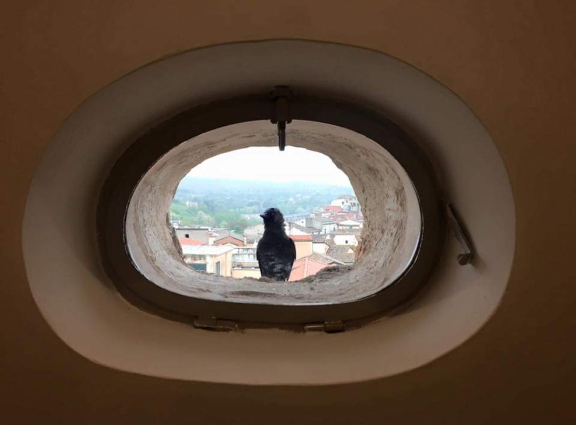 La Casa Nel Borgo Antico Hotel เมลฟิ ภายนอก รูปภาพ